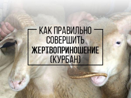 Как правильно совершить жертвоприношение (курбан)