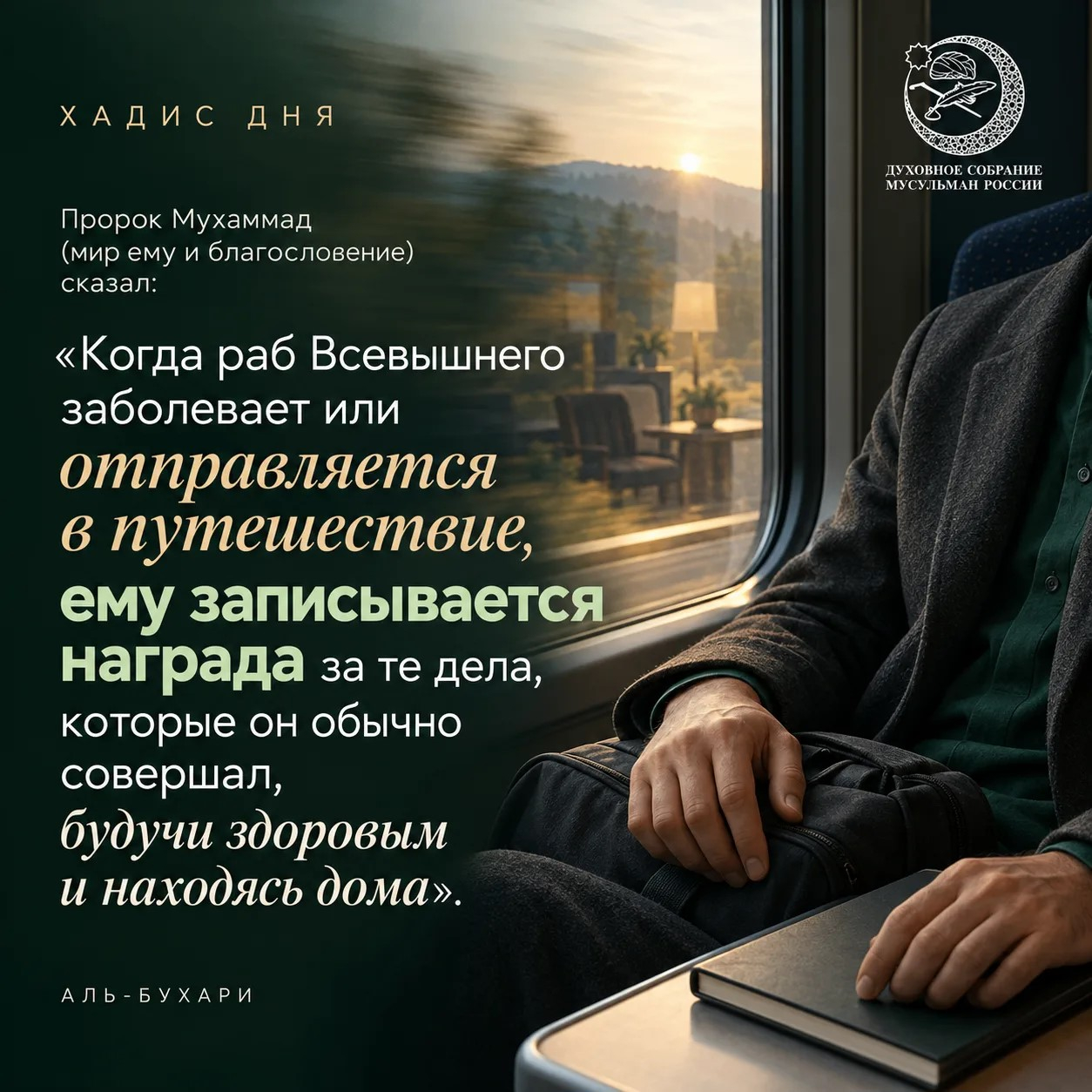 /media/k2/items/src/1956030cd7622651b2fe6182d3f9043e.jpg