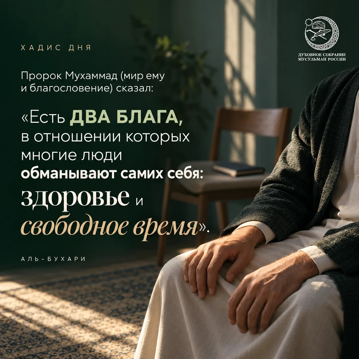 /media/k2/items/src/c16ea4ed65c7d5880e1b493a5f5042ba.jpg