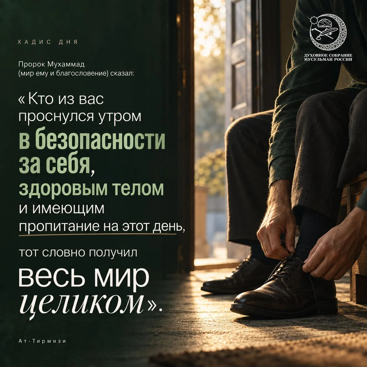 /media/k2/items/src/d215488382b19d3baa0e6b2048422547.jpg